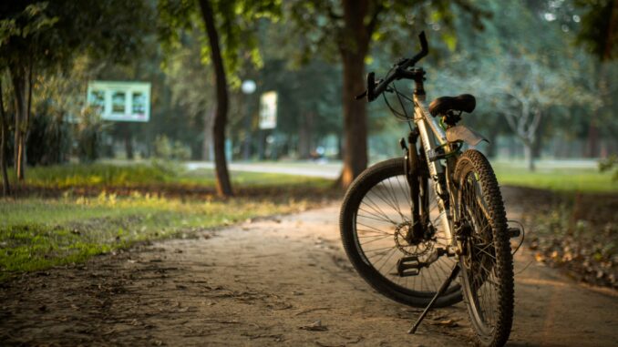 shazaf-zafar-cxHIG4Sxv0k-unsplash
